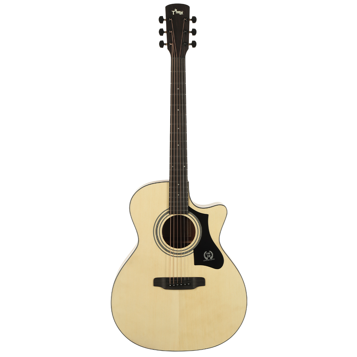 Tyma TG-1TE трансакустическая гитара в комплекте с чехлом